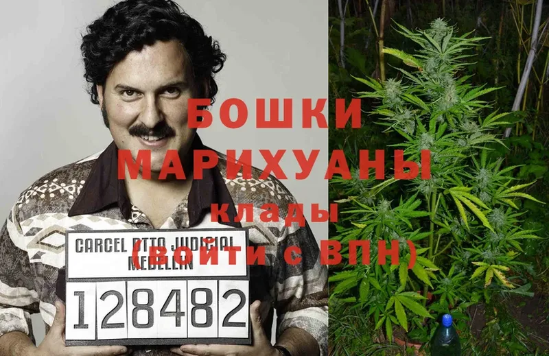 что такое наркотик  Таруса  Конопля OG Kush 